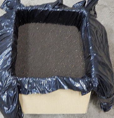 カブト虫昆虫マット